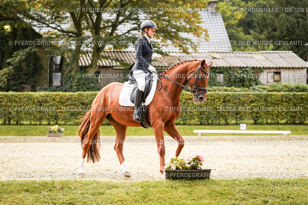 DSC07647 | Pferdegrafie