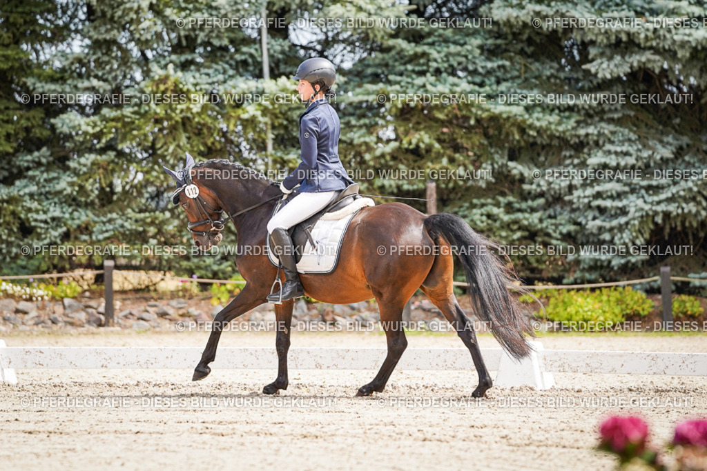 DSC02523 | Pferdegrafie