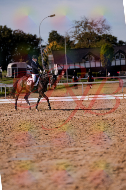 2026_10_03_Siefer-Hof_125735_Z81_46106751 | Professionelle Reitsport-, Turnier- und Eventfotografie von Robert Broda. Galerien mit ausgewählten und bearbeiteten Bildern direkt online ansehen und bestellen.