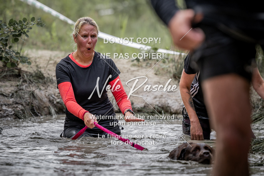 nelerasche_so0800-0930_284 | nelerasche
