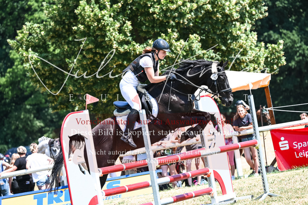 DSC_0414 | Pferde- und Turnierfotografie in Westsachsen. Pferdeportraits, Auftragszeichnungen und intuitive Kunst.