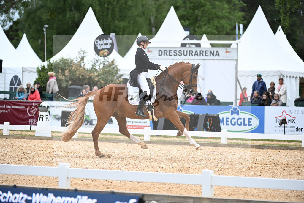 Schatz-Weihermueller_Le Charmeur_11251680 | hf-fotografie - Realisiert mit Pictrs.com