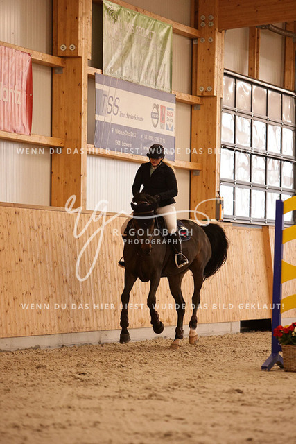 1J2A3254Alexa Burmeister_ Catania 131_ Kn091_ Hohen Wieschendorf_ Glantz | Foto- und Videografie für alles rund ums Pferd. Hochwertige Bilder und Videos vom Spring- und Dressurreiten, Voltigieren & mehr. Jetzt aktuelle Veranstaltungen und Preise im Shop ansehen. - Realisiert mit Pictrs.com