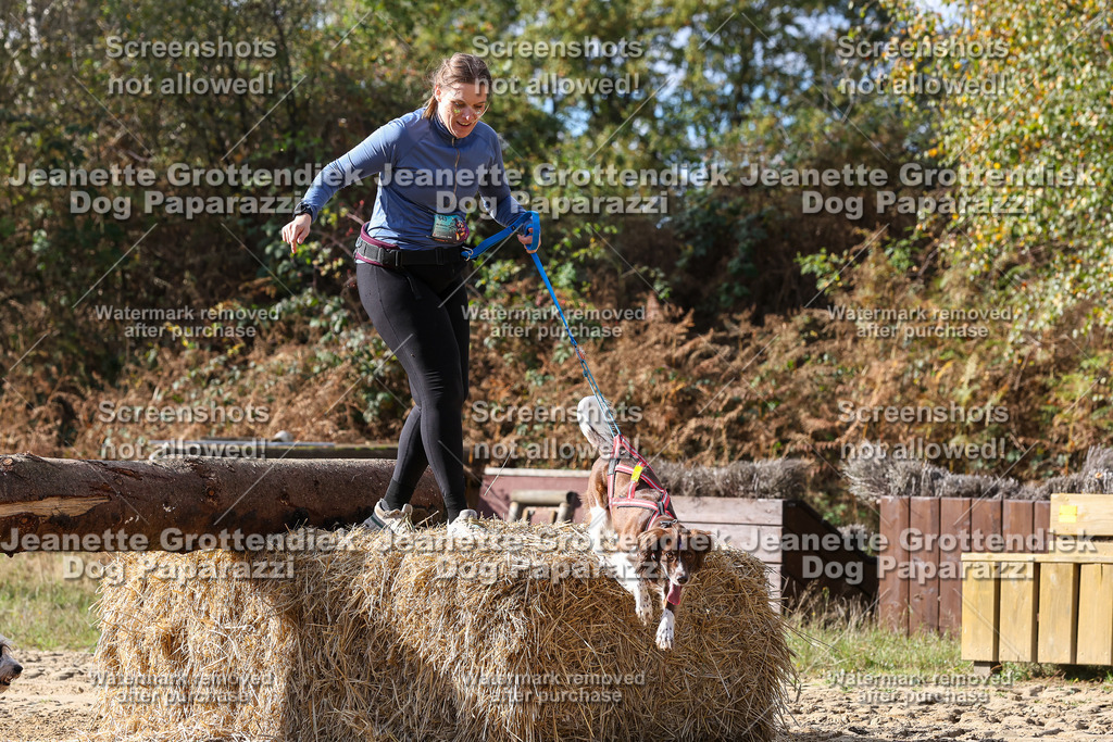 Dog Paparazzi - Strongdog 10-25-5268 | Dog Paparazzi Jeanette Grottendiek Fotografie & Videografie - Realisiert mit Pictrs.com