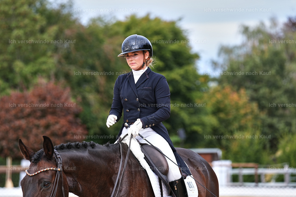 11-066-Dressur S___-Marixx-1661 | working equitationturnier fotograf videograf stoibphotography marixx film working equitation deutschland reitsport turnierfotografie eventfotografie equestrian events