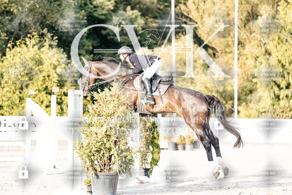 CK903456 | Turnierfotografie Pferdefotografie Trier Rheinland-Pfalz Pferdesport Reitsport Tierfotografie Sportfotografie Pferdevideo Pferdevideografie Equestrianvideography equestrianphotography  - Realisiert mit Pictrs.com