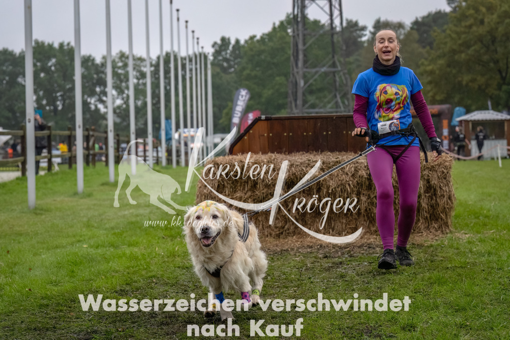 1230--26 | kk-dogfotos