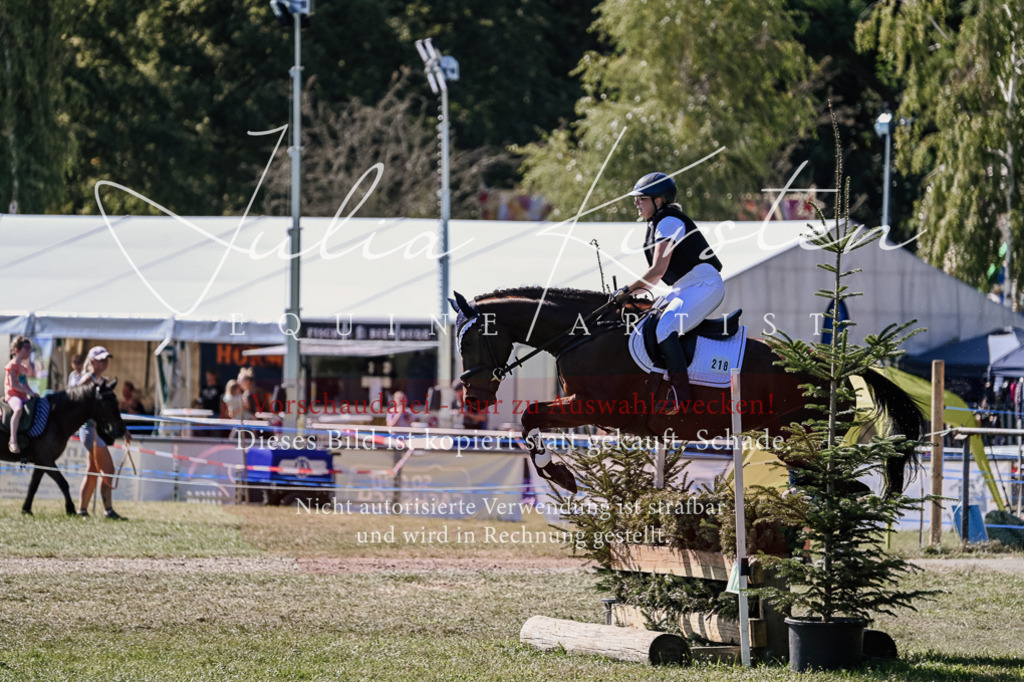 DSC_2641 | Pferde- und Turnierfotografie in Westsachsen. Pferdeportraits, Auftragszeichnungen und intuitive Kunst.