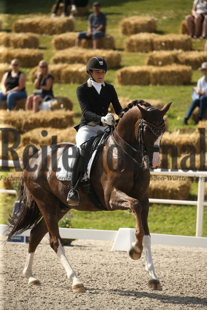 Birkhof_2022_GrandPrixSpecial_Jasmin Schaudt_Fano 3 (14) | Alle Fotos der Reiterjournal Fotografin Doris Matthaes im Reiterjournal Online-Fotoshop. - Realisiert mit Pictrs.com