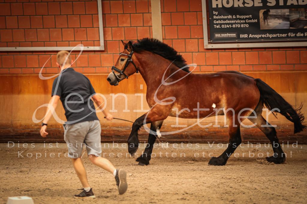 SaFL00051 | Leoni Ertmer Photography - Realisiert mit Pictrs.com