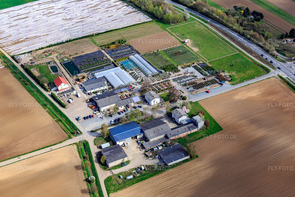 Luftbild: Lindenhof Blumen im Ortsteil Auerbach in Bensheim im Bundesland Hessen in Deutschland. Foto: IMG_077111.jpg vom 12.04.2015 durch Werner Riehm/FLY-FOTO.deWWW.LINDENHOFBLUMEN.DE