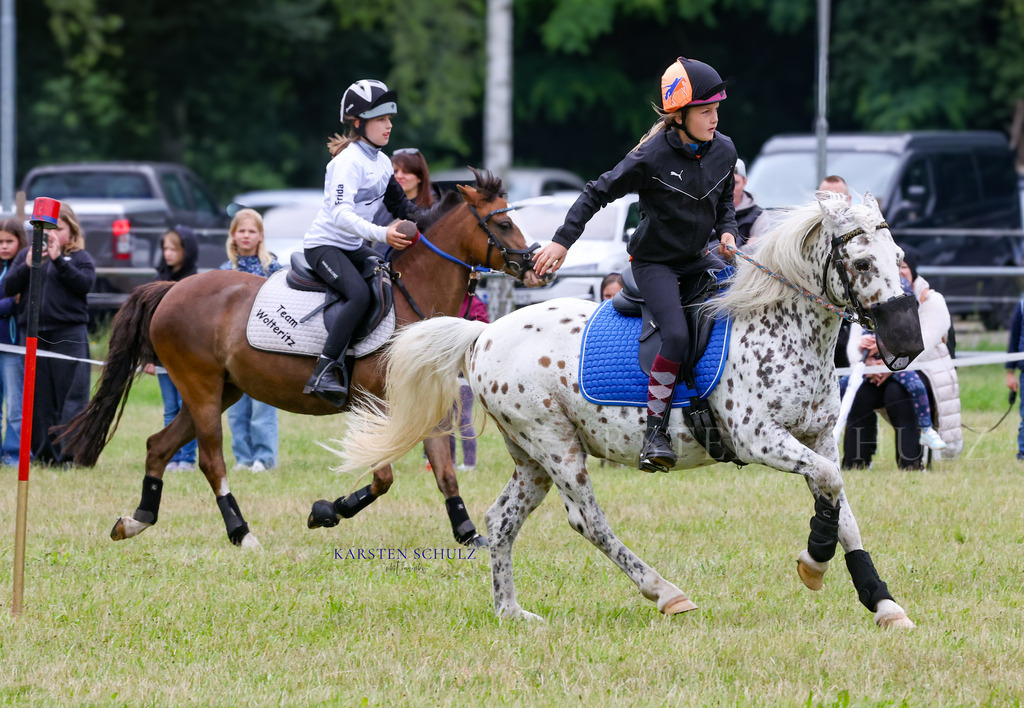 1B3A0214 | Reitsport Reiten