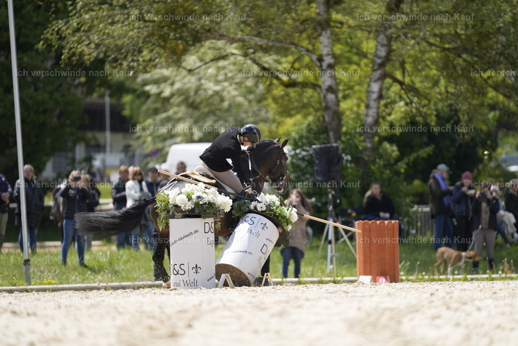 PI26_SP_Stoibphotography_A749066.JPG | working equitationturnier fotograf videograf stoibphotography marixx film working equitation deutschland reitsport turnierfotografie eventfotografie equestrian events
