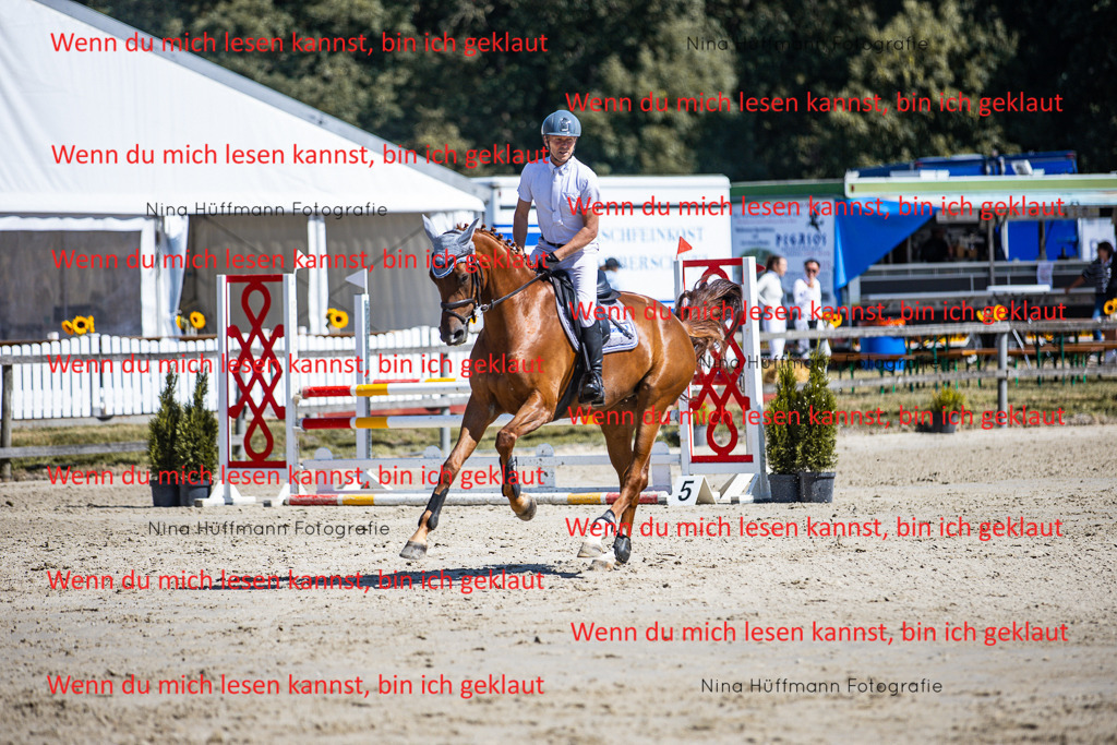 BK1A5502 | Turnierbilder Turnierfotos Nina Hüffmann Turnierfotografie Pferdefotografie Tierzeichnung Haustierzeichnung Pferdezeichnung Hundezeichnung Videograf  - Realisiert mit Pictrs.com