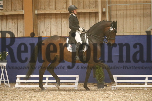Turnier_Zeutern_2022_Prfg.Nr.02_Kurz-GrandPrix_Dr.Dahlia-Rosa Reuner_Hotspot 9 (4) | Alle Fotos der Reiterjournal Fotografin Doris Matthaes im Reiterjournal Online-Fotoshop. - Realisiert mit Pictrs.com