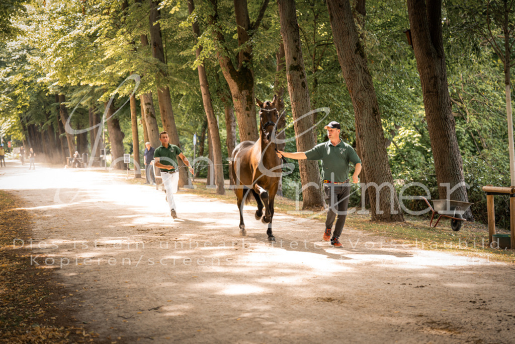 FrPfM00157 | Leoni Ertmer Photography - Realisiert mit Pictrs.com