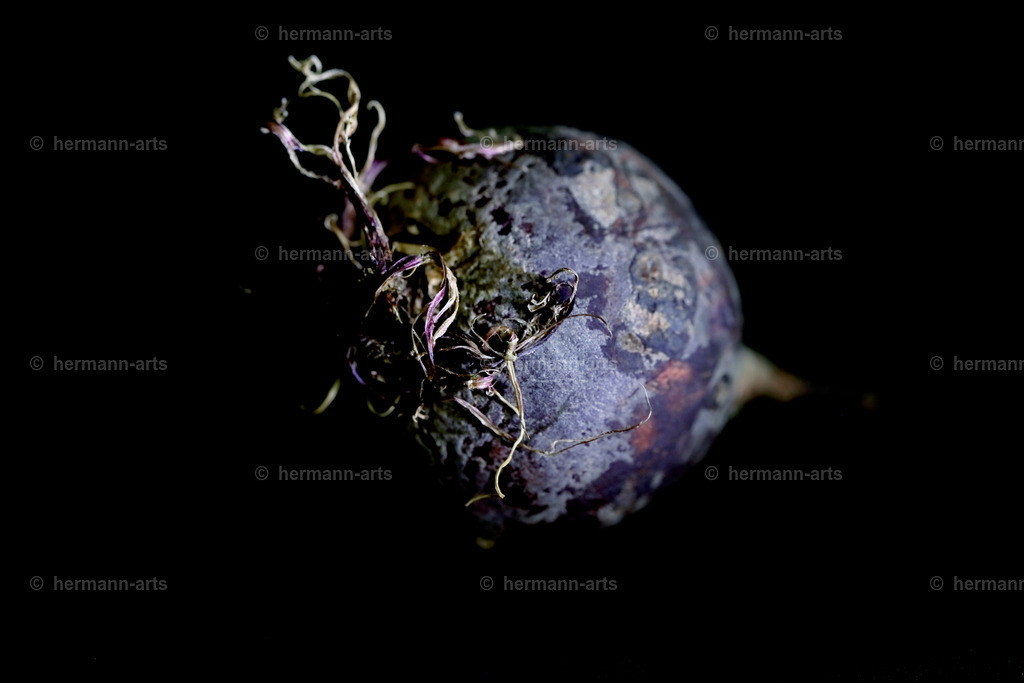 Fruits-Art-046 | Photo Foto Kunst Art schwarzweiss Bilder Rheine Münster Berlin Blumen 