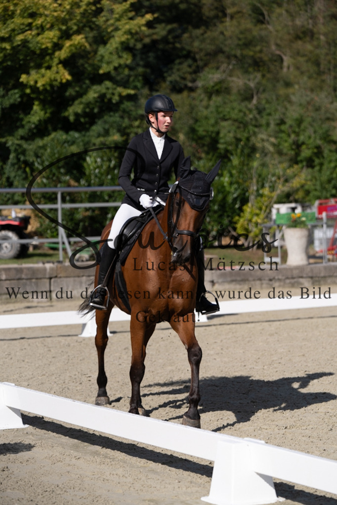 A7V06958 | Turnier/Reitfotograf