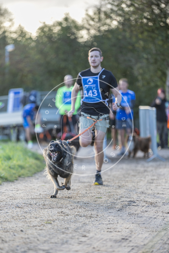 Pfotenfotografie.de_DV3A2748 | Hundefotografie, Tierfotograf, Pfotenfotografie, Fotoshooting Hund, Hunde Portrait, Hundesport, Hundeportraits, Heideshooting, Hunde, Sportfotograf, Hundefotograf, Turnierhundsport, THS, canicross - Realisiert mit Pictrs.com