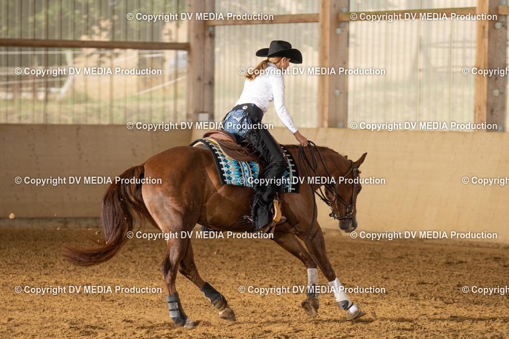 LAU01393 | dv-media-shop - Realisiert mit Pictrs.com