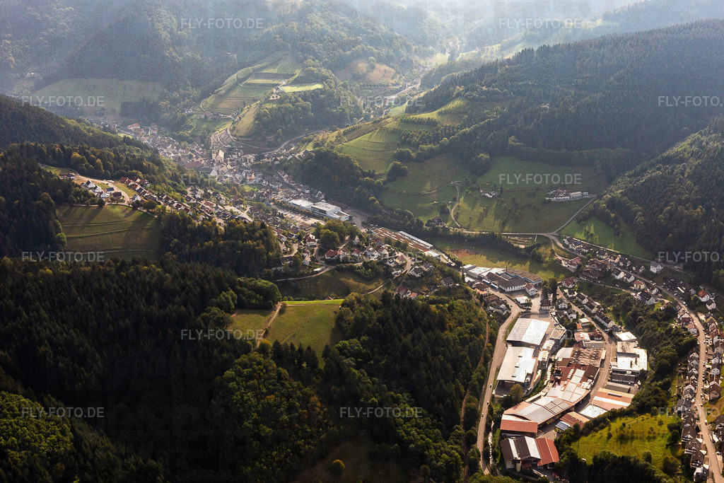 Gewerbegebiet mit Treyer Paletten GmbH | Luftbild: Gewerbegebiet mit Treyer Paletten GmbH im Ortsteil Bad Peterstal in Bad Peterstal-Griesbach im Bundesland Baden-Württemberg in Deutschland. Foto: IMG_008875.jpg vom 20.09.2020 durch Werner Riehm/FLY-FOTO.de - Realisiert mit Pictrs.com