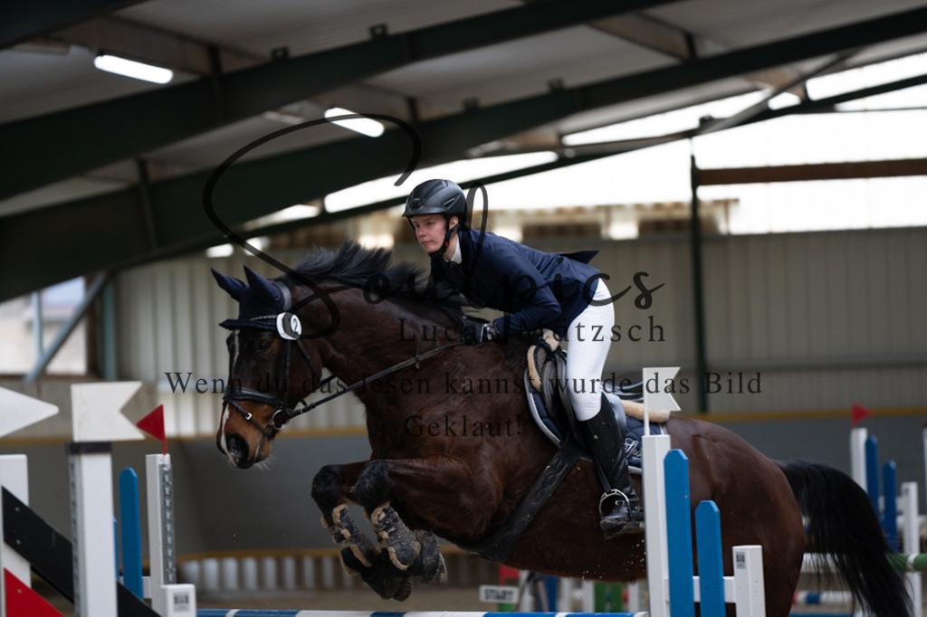 A7V04479 | Pferdefotograf