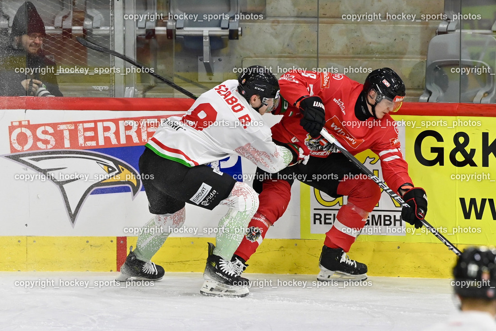 Österreich vs. Ungarn 14.12.2023 | Österreich vs. Ungarn 14.12.2023, Österreich vs. Ungarn  am 14.12.2023 in Klagenfurt (Heidi Horten Arena), Austria, (Photo by Bernd Stefan)