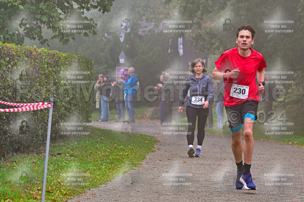 Z8N_1212 | la-psv - Realisiert mit Pictrs.com