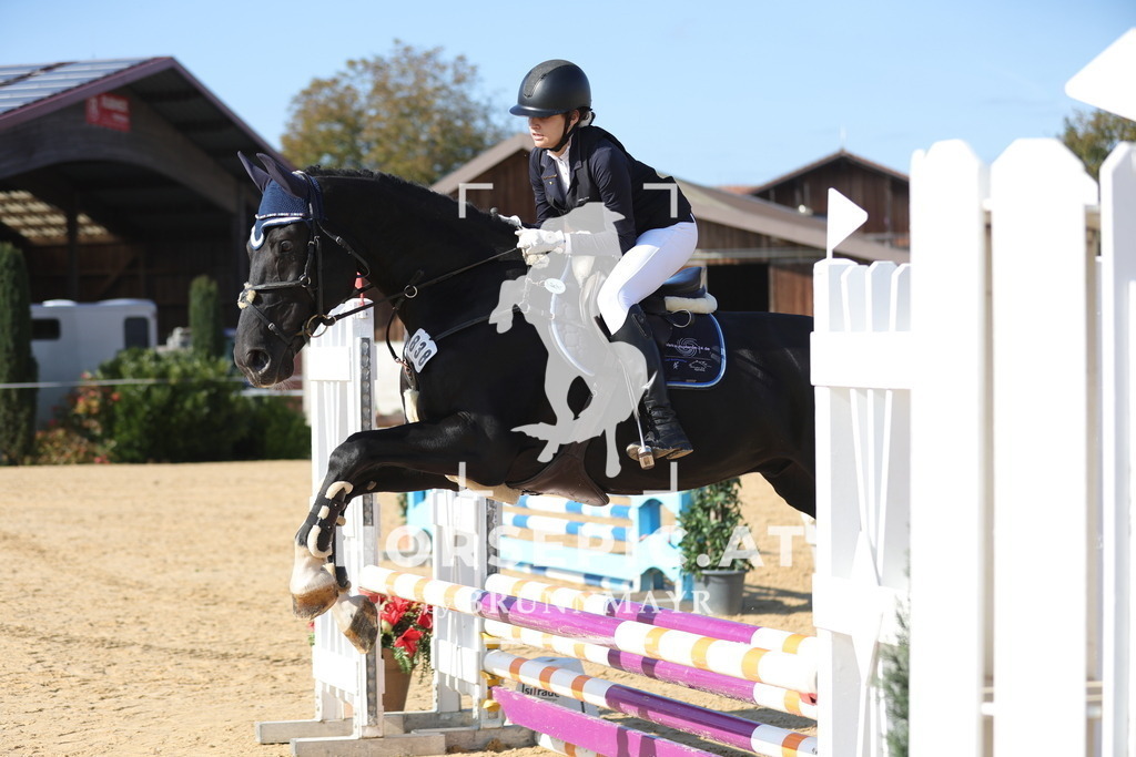 0P6A8043 | Willkommen bei Brunnmayr - Design & Fotografie – Ihrem Spezialisten für Reitturniere und Pferdeveranstaltungen in Oberösterreich, Salzburg und Bayern! Seit über 17 Jahren sind wir leidenschaftlich dabei.
