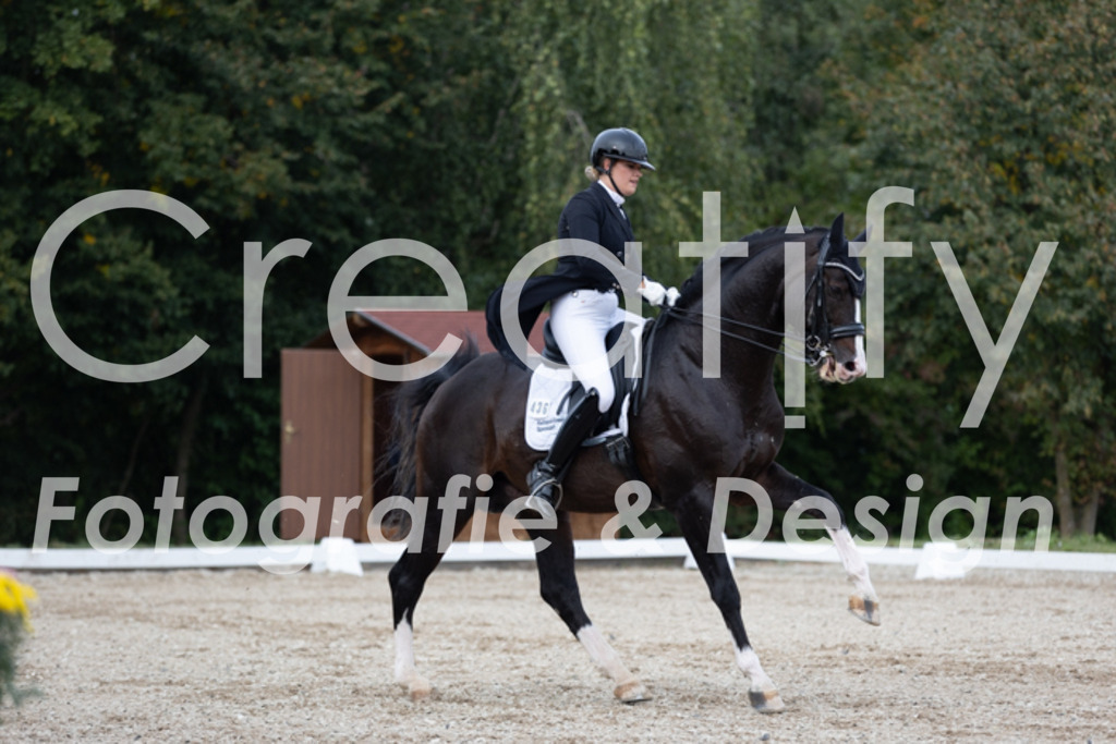 IMG_5269 | Creatify Fotografie