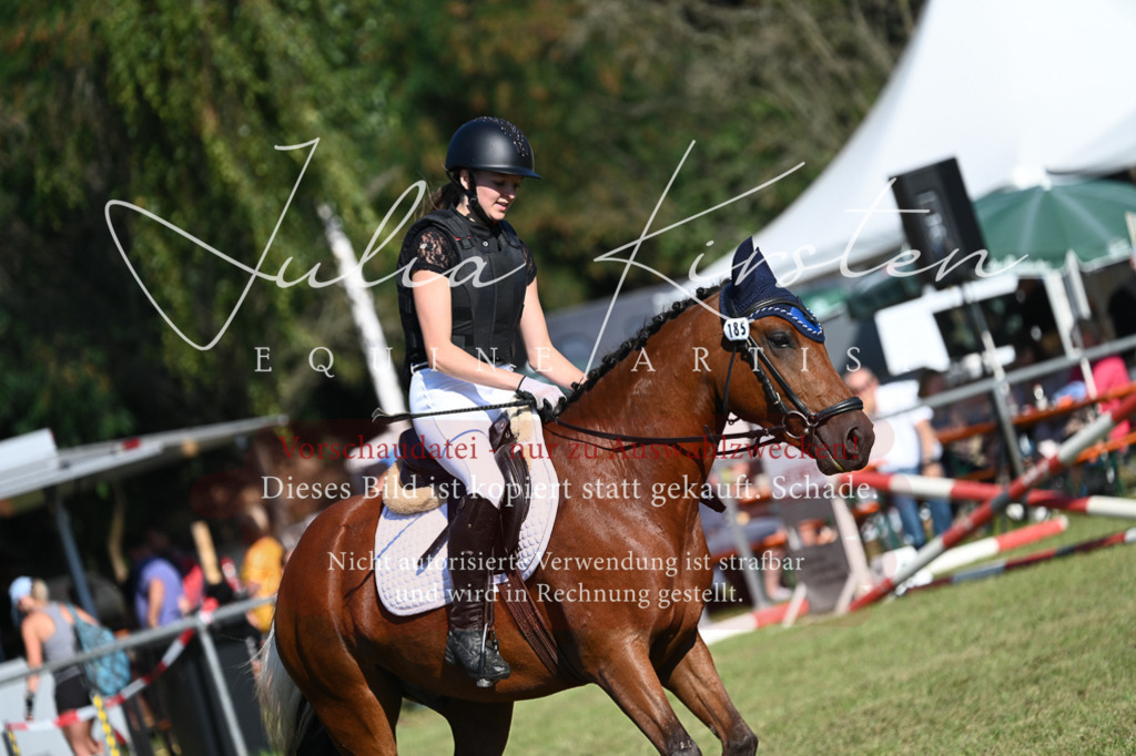 DSC_5358 | Pferde- und Turnierfotografie in Westsachsen. Pferdeportraits, Auftragszeichnungen und intuitive Kunst.