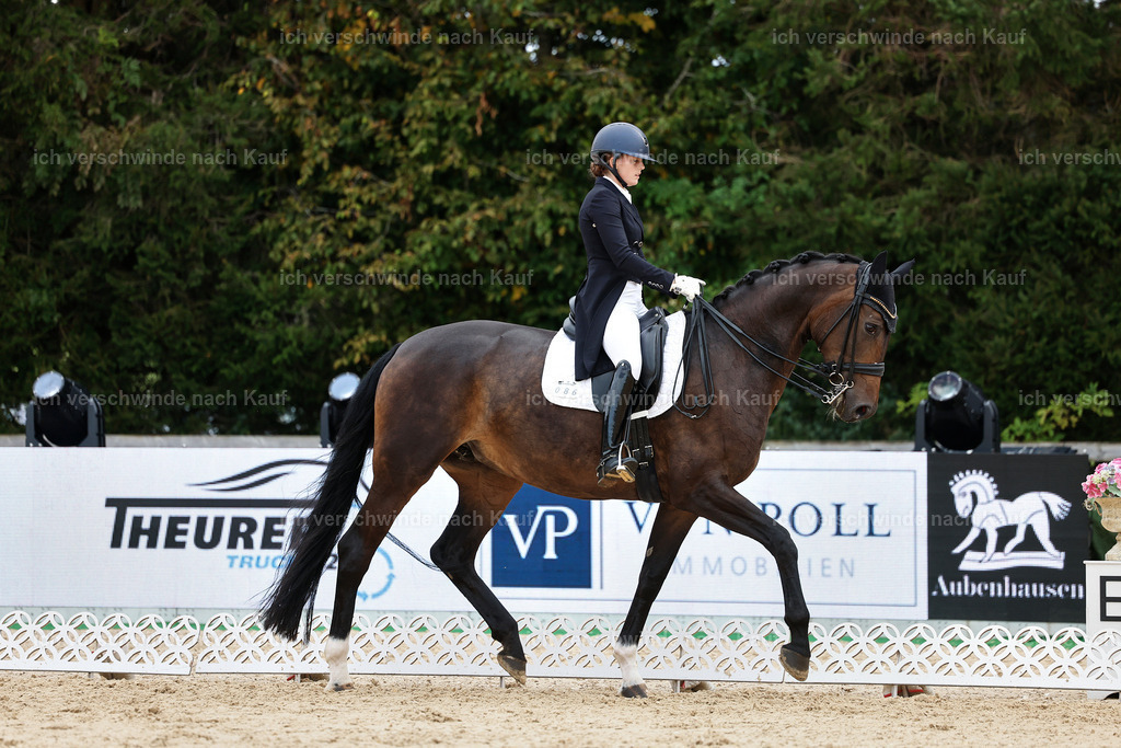 6-086-AMATUER-DRESSUR S_  -StoibPH-3576 | working equitationturnier fotograf videograf stoibphotography marixx film working equitation deutschland reitsport turnierfotografie eventfotografie equestrian events