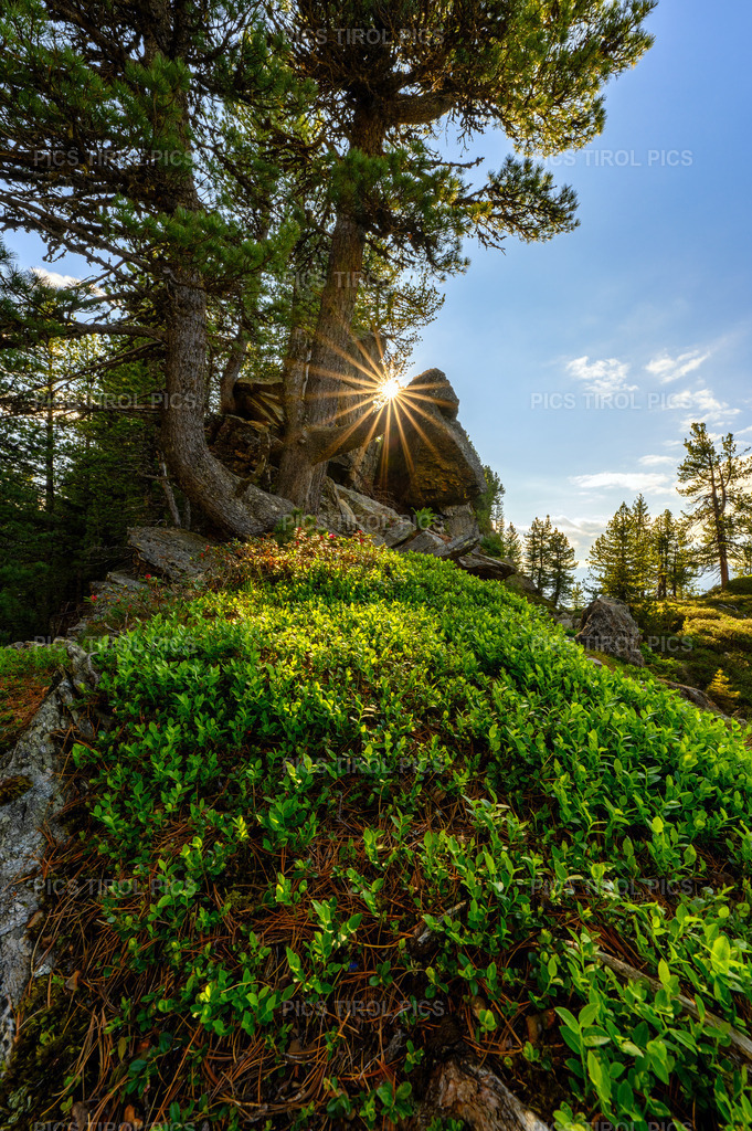 DSC_1157-HDR-Bearbeitet | Tirolpics