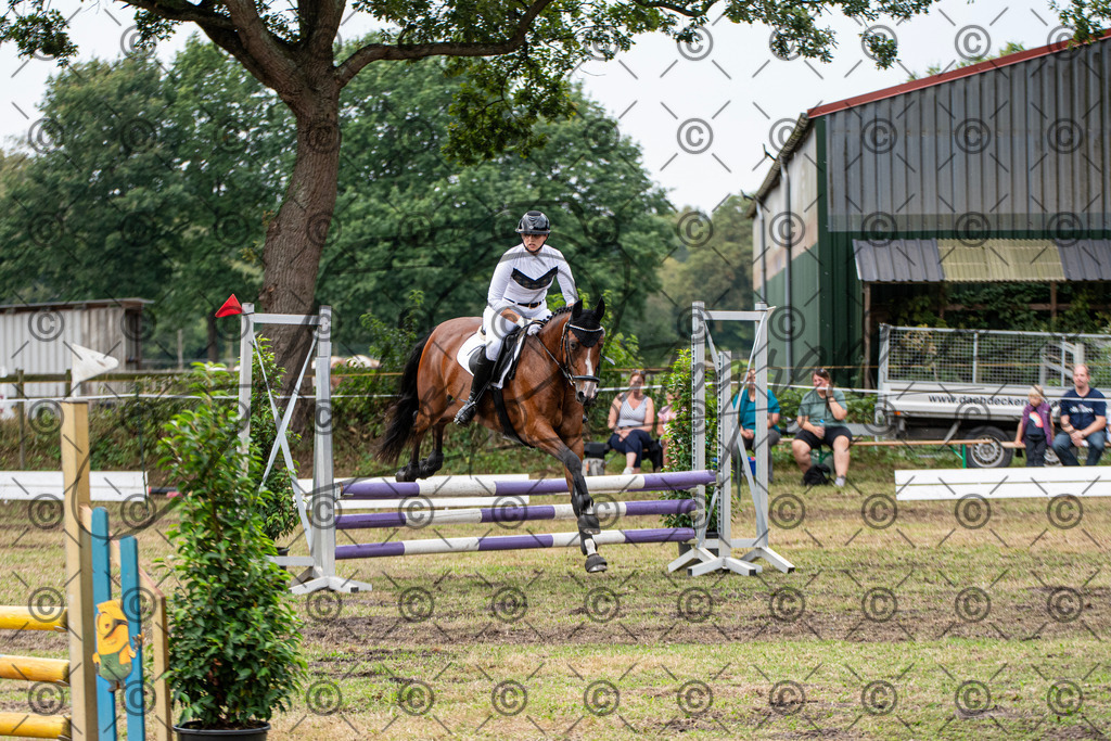 SHT_7628 | andre_photographic