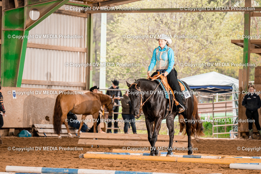 BA300290 | dv-media-shop - Realisiert mit Pictrs.com