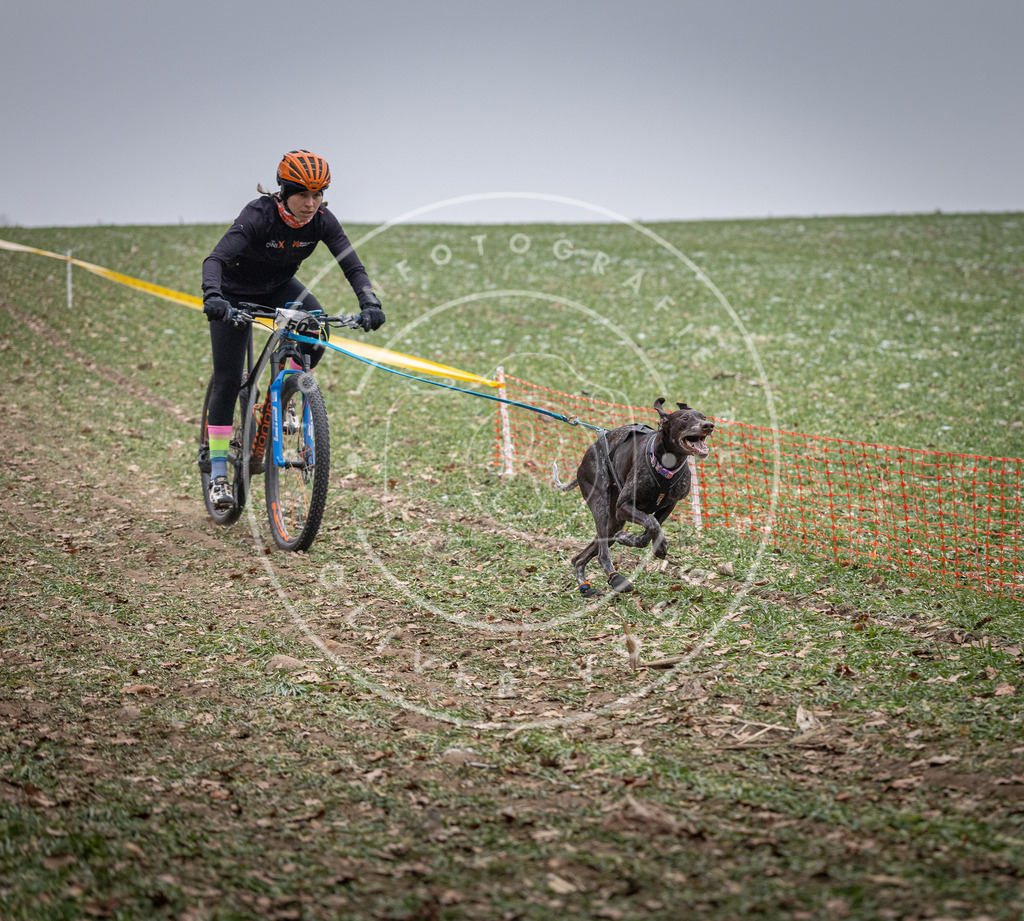 Pfotenfotografie_DV3A1043 | Hundefotografie, Tierfotograf, Pfotenfotografie, Fotoshooting Hund, Hunde Portrait, Hundesport, Hundeportraits, Heideshooting, Hunde, Sportfotograf, Hundefotograf, Turnierhundsport, THS,  - Realisiert mit Pictrs.com