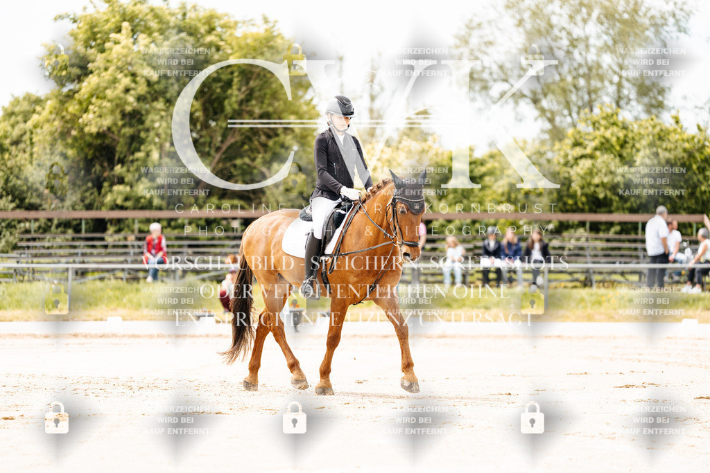 CK902626 | Turnierfotografie Pferdefotografie Trier Rheinland-Pfalz Pferdesport Reitsport Tierfotografie Sportfotografie Pferdevideo Pferdevideografie Equestrianvideography equestrianphotography  - Realisiert mit Pictrs.com