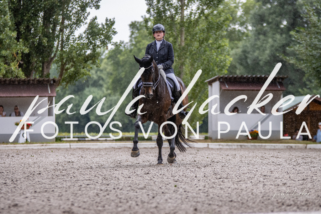 IMG_6601 | Erleben Sie dynamische Sport- und emotionale Tierfotografie in Süddeutschland mit Fotos von Paula. Spezialisiert auf Pferde- und Hundefotografie sowie Sportevents. Kontaktieren Sie mich für einzigartige und ausdrucksstarke Bilder Ihrer besonderen Momente.