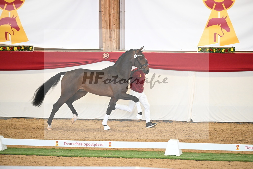 Kat.-Nr. 68 v. Fynch Hatton_Kampe_2250482 | hf-fotografie - Realisiert mit Pictrs.com
