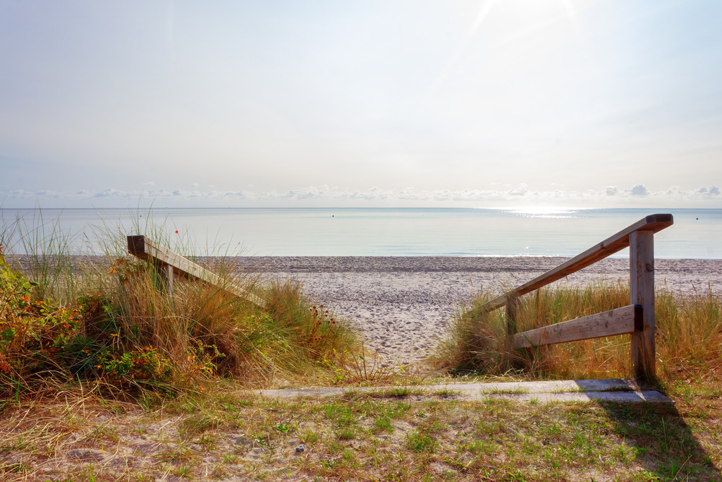 Wandbild: Treppe zum Küstenmorgen an der Ostsee | Dieses Wandbild zeigt eine hölzerne Treppe, die sich zwischen hohem Strandgras hinunter zum hellen Sandstrand öffnet. Das Sonnenlicht glitzert auf dem ruhigen Wasser und taucht die Szene in eine klare, freundliche Atmosphäre. Die Kombination aus Holz, Gras, Sand und Meer vermittelt natürliche Leichtigkeit und die typische Ruhe norddeutscher Küstenlandschaften. Die Komposition wirkt einladend, harmonisch und voller maritimer Gelassenheit – ein Moment, der die Schönheit eines entspannten Tages am Meer einfängt. Ein Wandbild, das Ruhe, Weite und die natürliche Klarheit der Ostseeküste in jeden Raum bringt. - Realisiert mit Pictrs.com