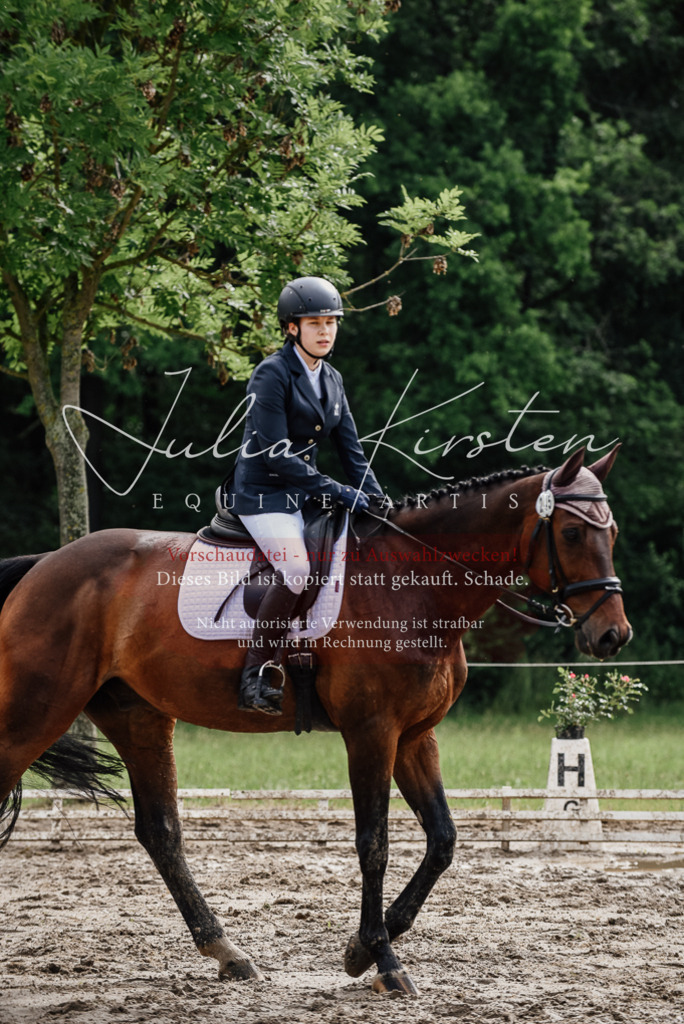 DSC_9643 | Pferde- und Turnierfotografie in Westsachsen. Pferdeportraits, Auftragszeichnungen und intuitive Kunst.