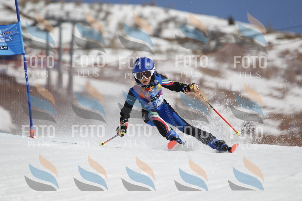 _U3G9706 | holidayphoto