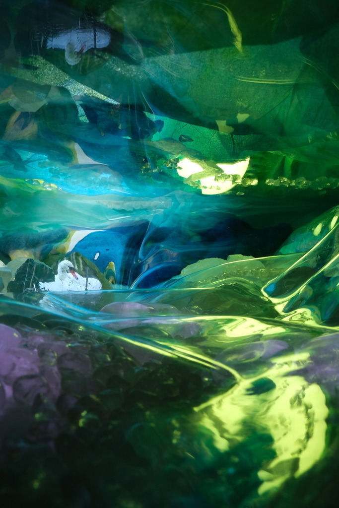 Schwan im Nest | cornelia-geissler - Realisiert mit Pictrs.com