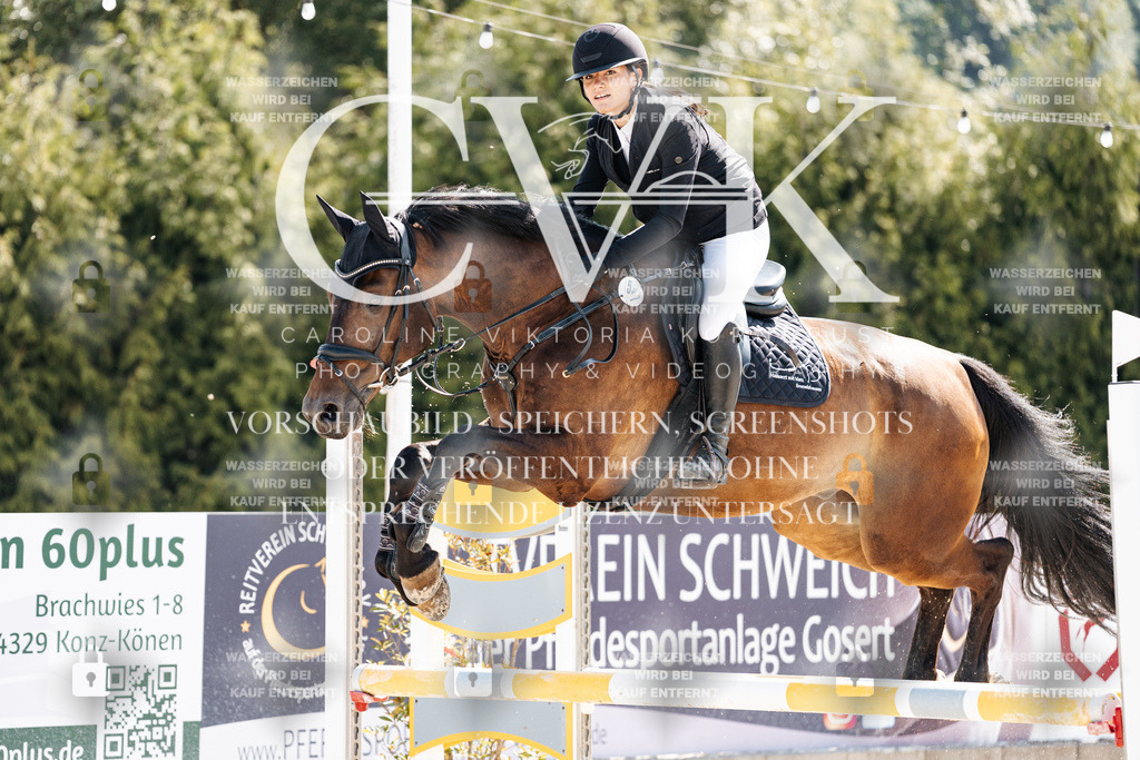 CK908286 | Turnierfotografie Pferdefotografie Trier Rheinland-Pfalz Pferdesport Reitsport Tierfotografie Sportfotografie Pferdevideo Pferdevideografie Equestrianvideography equestrianphotography  - Realisiert mit Pictrs.com