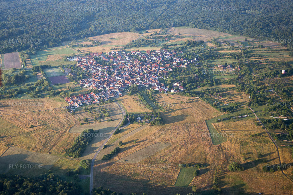 Dorf - Ansicht am Rhein | Luftbild: Dorf - Ansicht am Rhein im Ortsteil Büchelberg in Wörth im Bundesland Rheinland-Pfalz in Deutschland. Foto: IMG_082866.jpg vom 26.06.2015 durch Werner Riehm/FLY-FOTO.de - Realisiert mit Pictrs.com