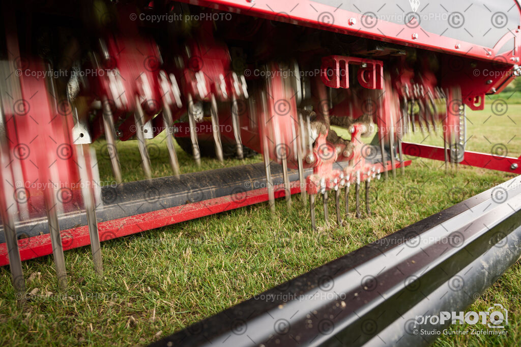 202507_Rernböck-Rasen_NZ9_1035 | proPHOTO - Realisiert mit Pictrs.com