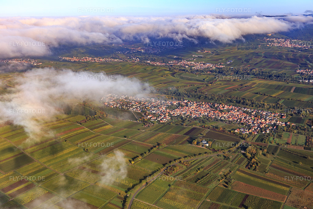Luftbild: Ortsansicht von Süden unter Wolken im Ortsteil Wollmesheim in Landau im Bundesland Rheinland-Pfalz in Deutschland. Foto: IMG_103739.jpg vom 01.10.2017 durch Werner Riehm/FLY-FOTO.de