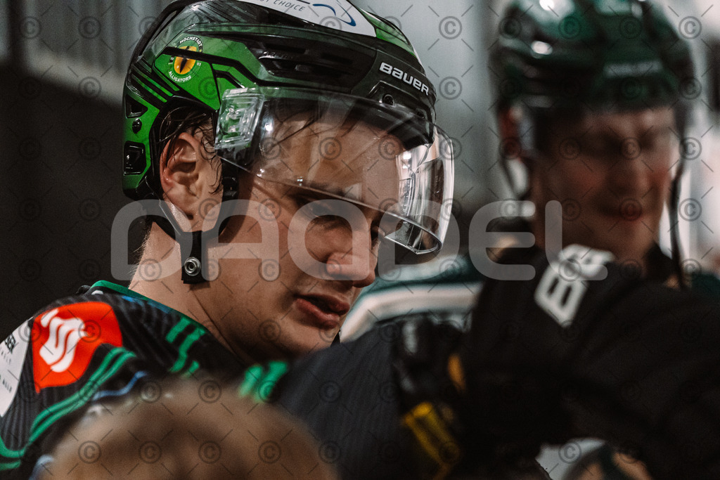 Alligators_vs_Erding_12_12_2025-139 | Höchstadt Alligators Fotogalerie: Eishockey-Action aus Franken. Professionelle Spielfotos, Portraits & Stadionbilder zum Download. Jetzt entdecken! - Realized with Pictrs.com