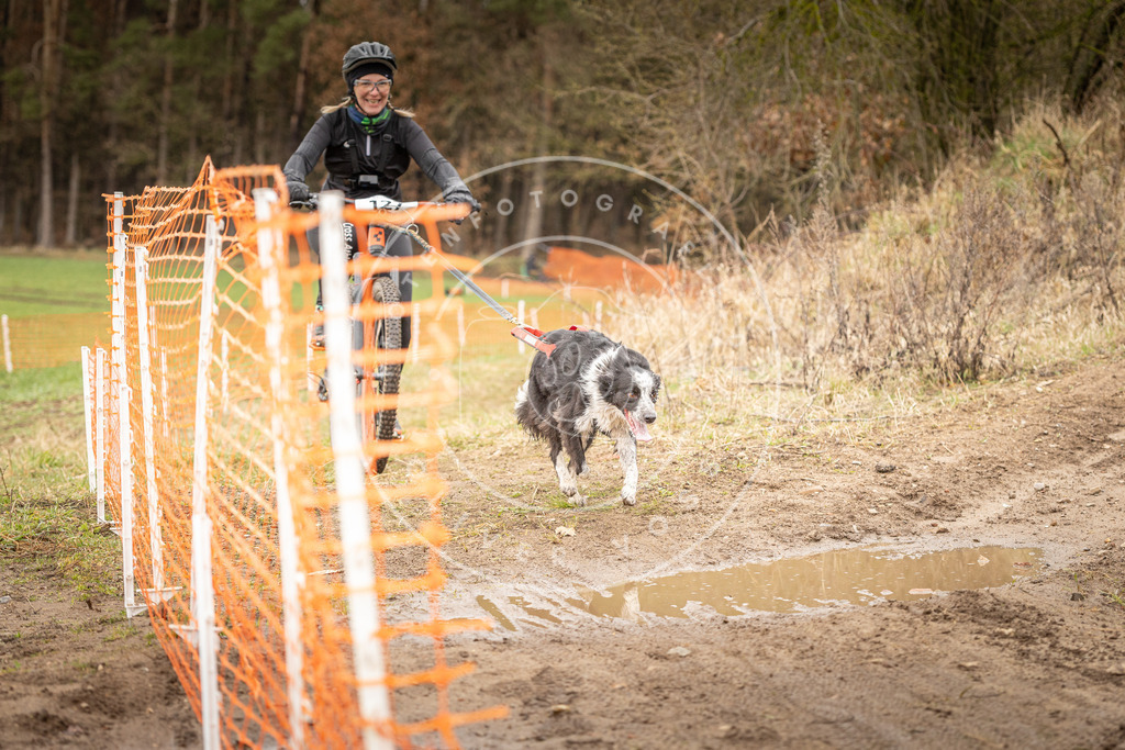 DV3A1208 | Hundefotografie, Tierfotograf, Pfotenfotografie, Fotoshooting Hund, Hunde Portrait, Hundesport, Hundeportraits, Heideshooting, Hunde, Sportfotograf, Hundefotograf, Turnierhundsport, THS,  - Realisiert mit Pictrs.com