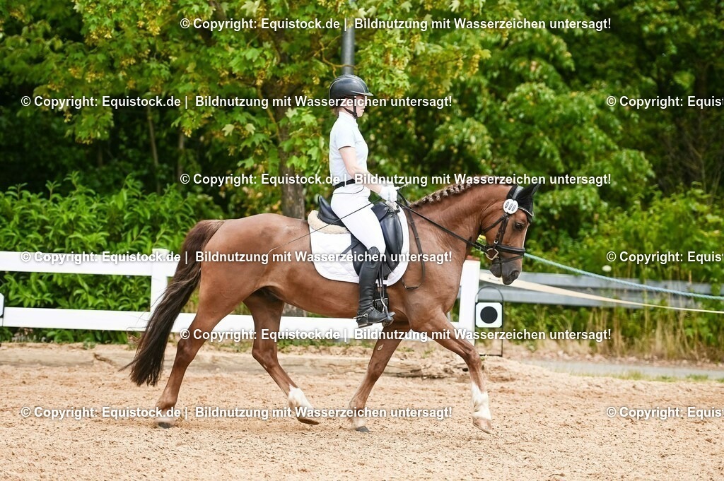 20230715_05_Dressurprüfung Kl.A++_0211 | equistock